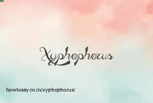 Xyphophorus
