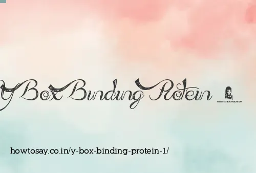 Y Box Binding Protein 1