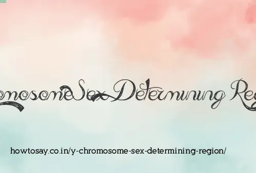Y Chromosome Sex Determining Region