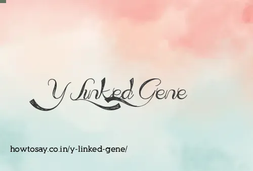 Y Linked Gene
