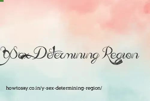 Y Sex Determining Region