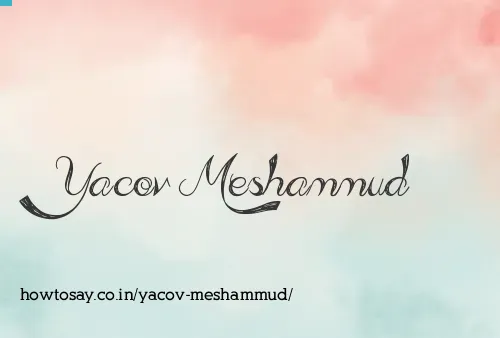 Yacov Meshammud