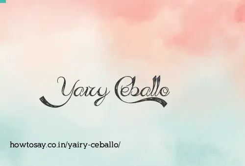 Yairy Ceballo
