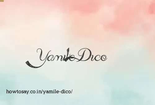 Yamile Dico