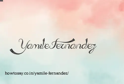 Yamile Fernandez