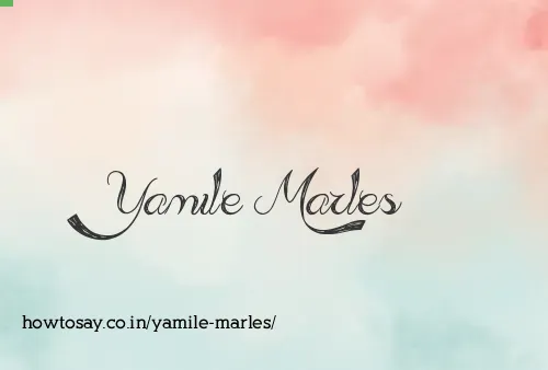 Yamile Marles