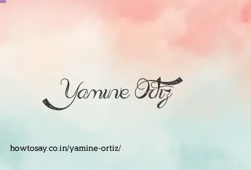 Yamine Ortiz