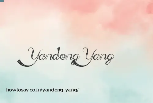 Yandong Yang