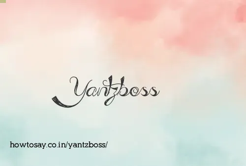 Yantzboss