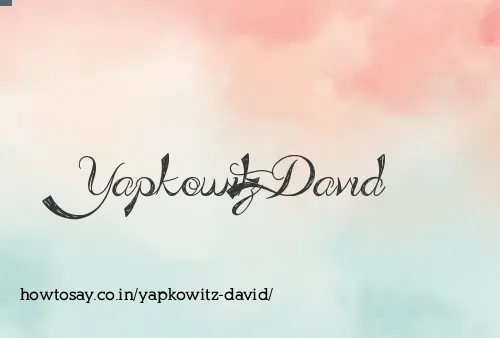 Yapkowitz David