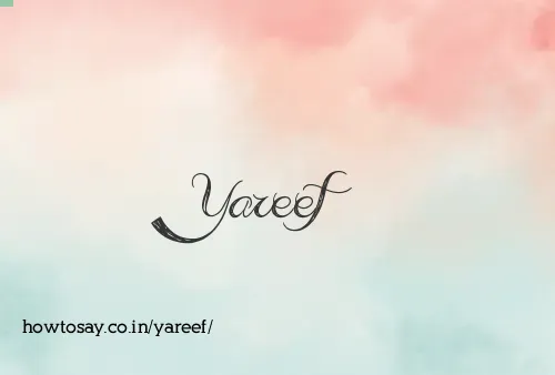 Yareef