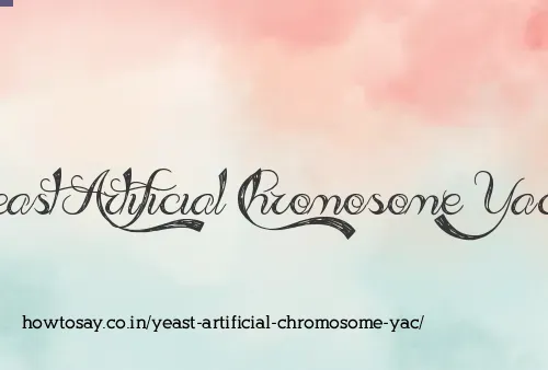 Yeast Artificial Chromosome Yac