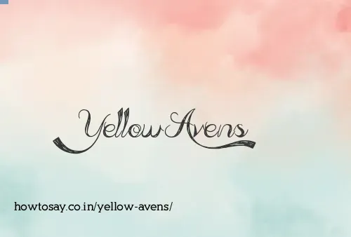 Yellow Avens