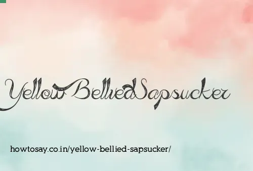 Yellow Bellied Sapsucker