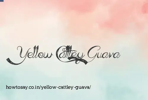 Yellow Cattley Guava
