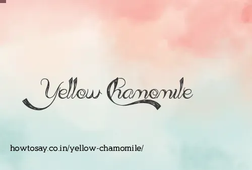 Yellow Chamomile