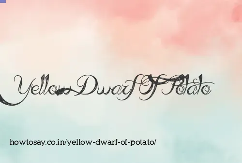 Yellow Dwarf Of Potato