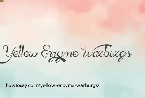 Yellow Enzyme Warburgs