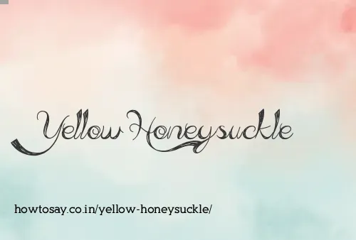 Yellow Honeysuckle