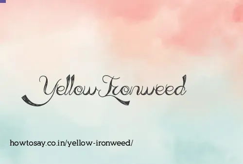 Yellow Ironweed
