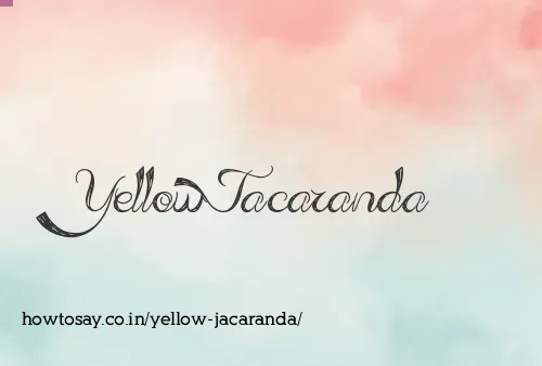 Yellow Jacaranda