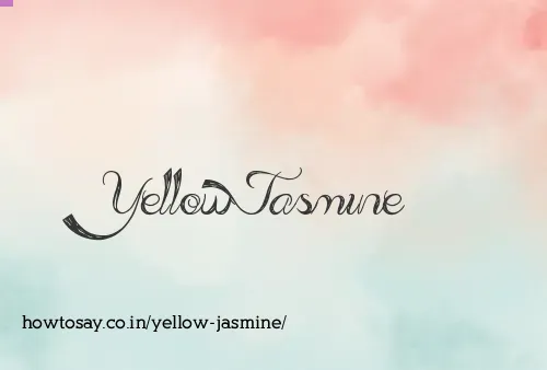 Yellow Jasmine