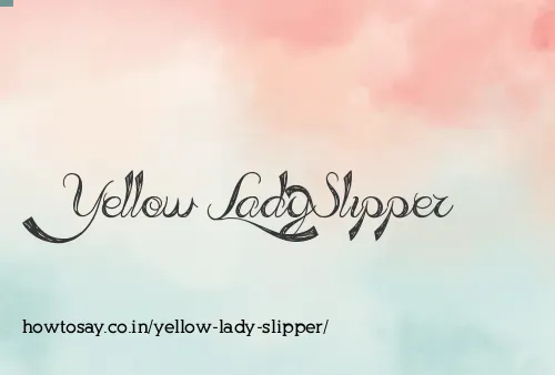 Yellow Lady Slipper