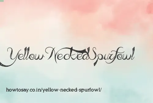 Yellow Necked Spurfowl