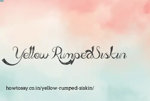 Yellow Rumped Siskin