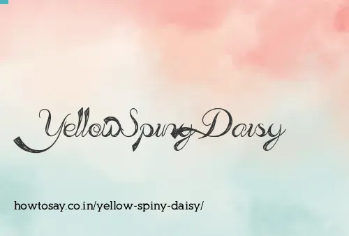 Yellow Spiny Daisy