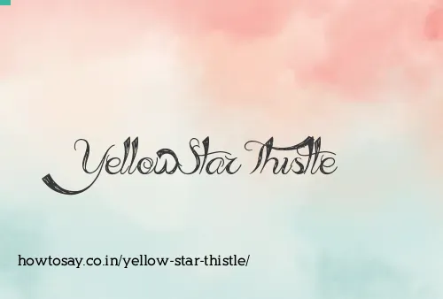 Yellow Star Thistle
