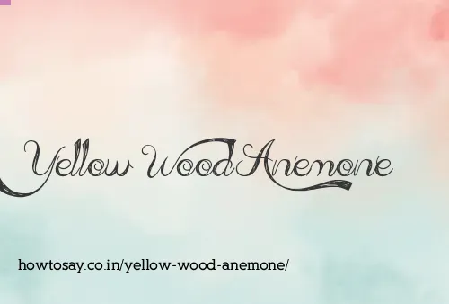 Yellow Wood Anemone
