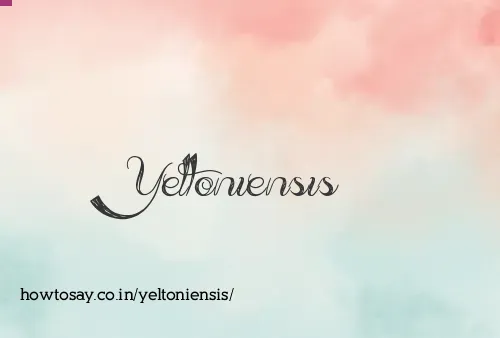 Yeltoniensis