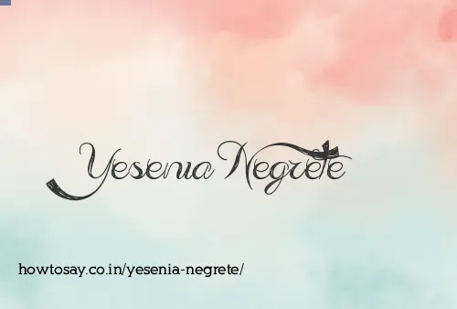 Yesenia Negrete