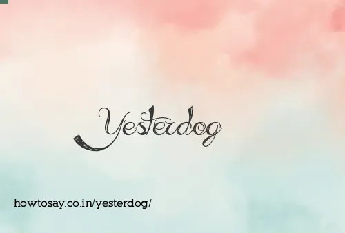 Yesterdog