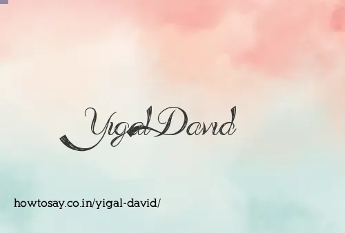 Yigal David