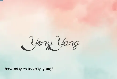 Yony Yang