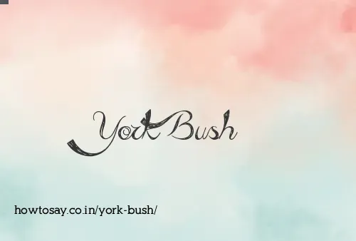 York Bush