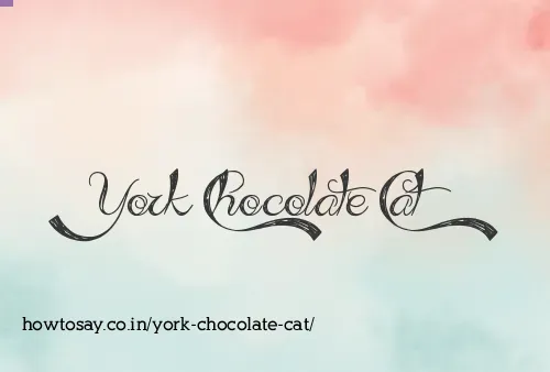 York Chocolate Cat