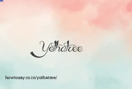 Yothatree