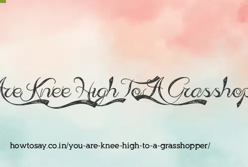 You Are Knee High To A Grasshopper