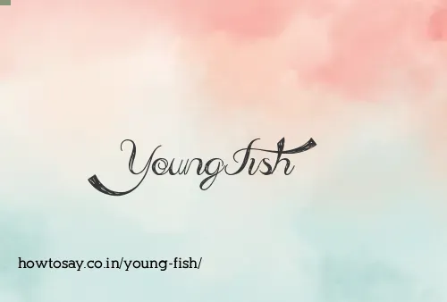 Young Fish