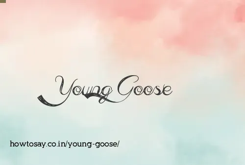 Young Goose