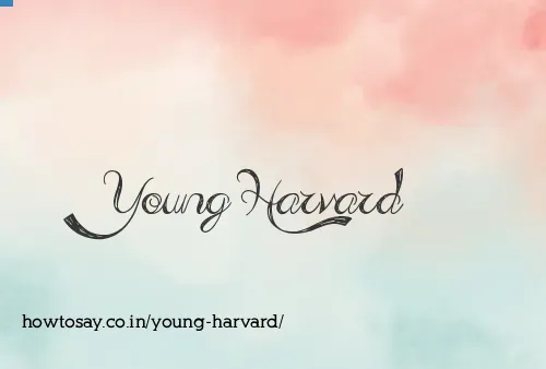 Young Harvard