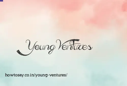 Young Ventures