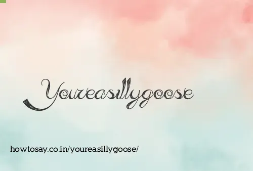 Youreasillygoose