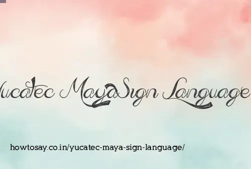 Yucatec Maya Sign Language