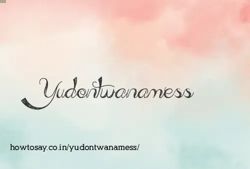 Yudontwanamess