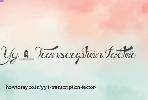 Yy1 Transcription Factor