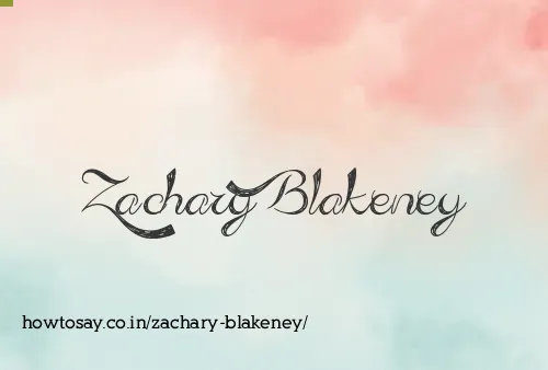 Zachary Blakeney
